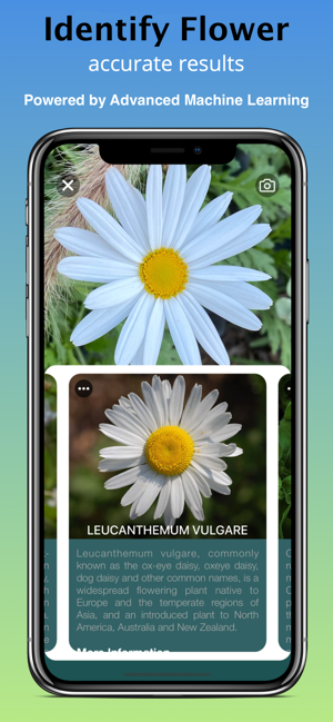 What Flower - Identify Flower(圖3)-速報App