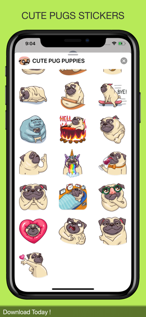 CUTE PUG PUPPIES(圖1)-速報App