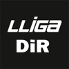 Lliga DIR