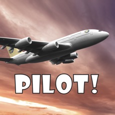 Activities of Pilot!