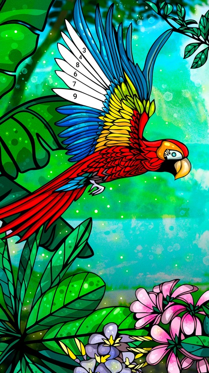 Color by Number - Relax Color by Freeplay Inc