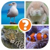 Icon Animals Quiz - Word Pics Game