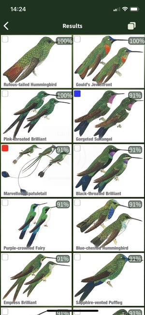 All Birds Ecuador field guide(圖5)-速報App