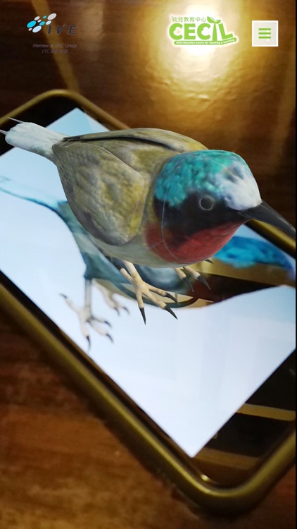 IVE AR Biodiversity Preschool