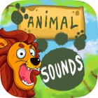 Animal sounds. Bits of intelligence to the visual and auditory stimulation for children and infants 0 to 6 years