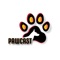 Pawcast is an app made for dog owners to meet and great