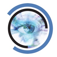 Blue Iris на пк