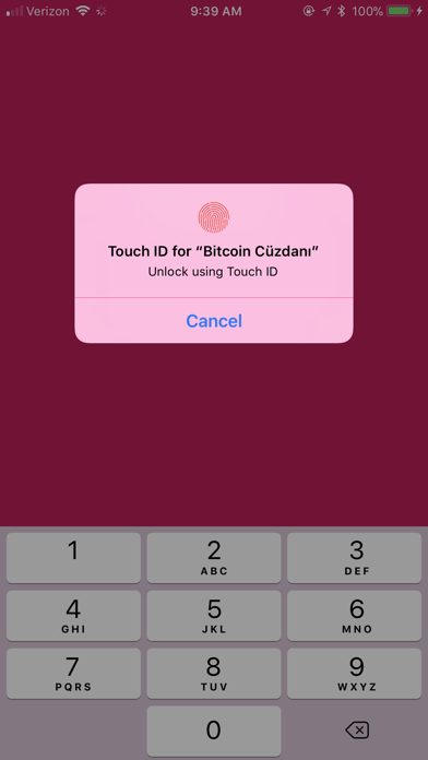 Bitcoin Wallet & Vault screenshot 3