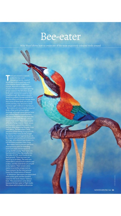 Woodcarving Magazine screenshot-3