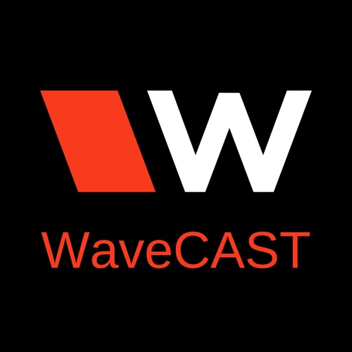 WaveCAST Audio Receiver by Williams Sound, LLC