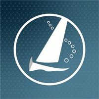 Sail Insight powered ne fonctionne pas? problème ou bug?