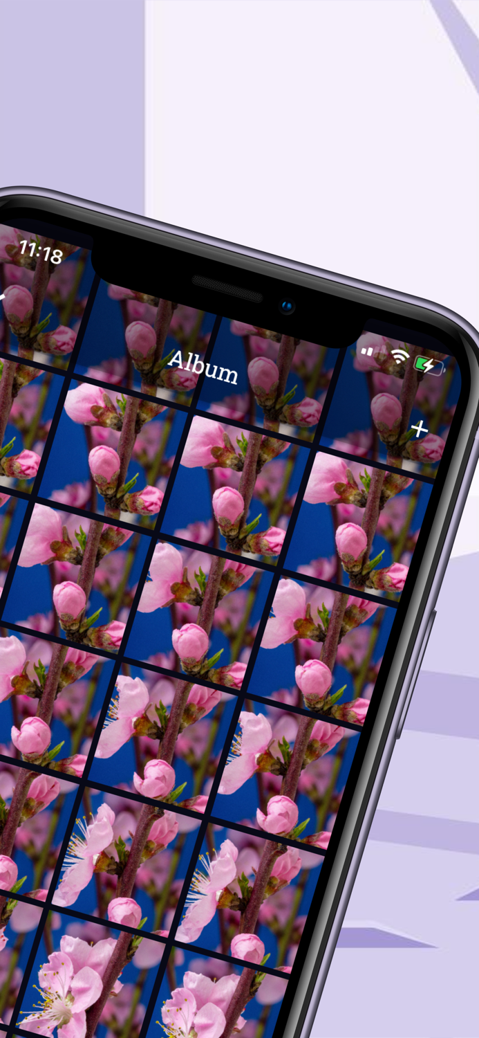 Memories - Timelapse Videos