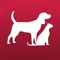 PetDialog builds a story of your pets life and vitality, helping you to keep your best friends in top shape