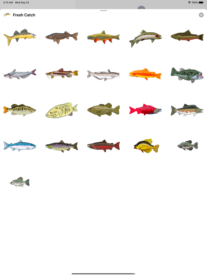 Fresh Catch Stickers