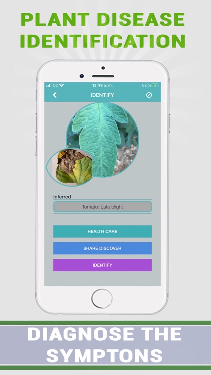 Plant Disease Identifier