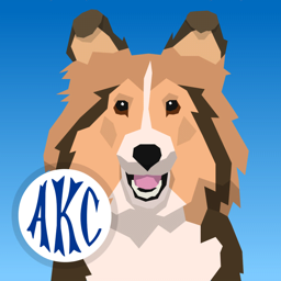 Ícone do app AKC Math Agility