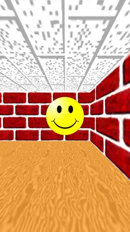 Game screenshot 3D Maze hack