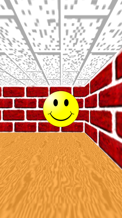 3D Maze screenshot 3