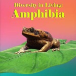Diversity in Living Amphibia