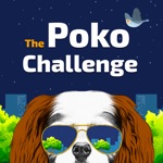 The Poko Challenge