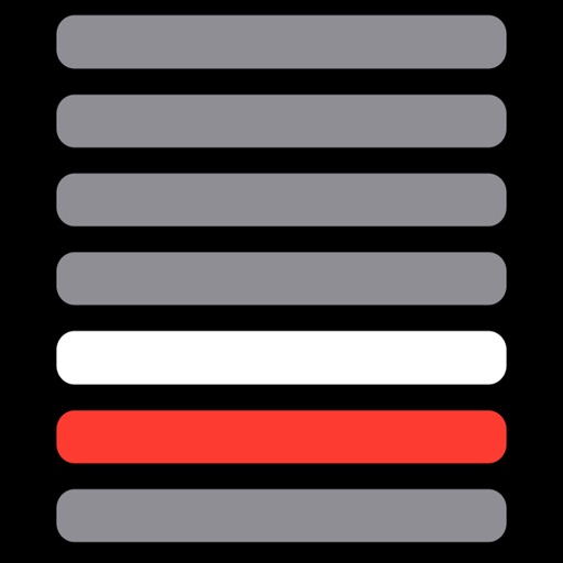 Vehicle Accelerometer