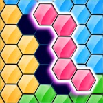 Hexa Puzzle King Block Magic