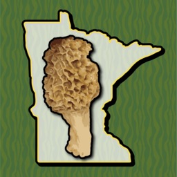 Minnesota Mushroom Forager Map