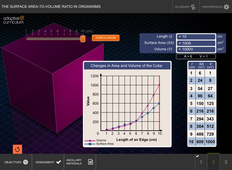 Surface Area-to-Volume Ratio