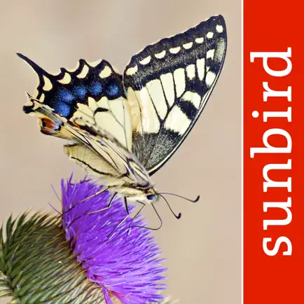 Butterfly Id - UK Field Guide Читы