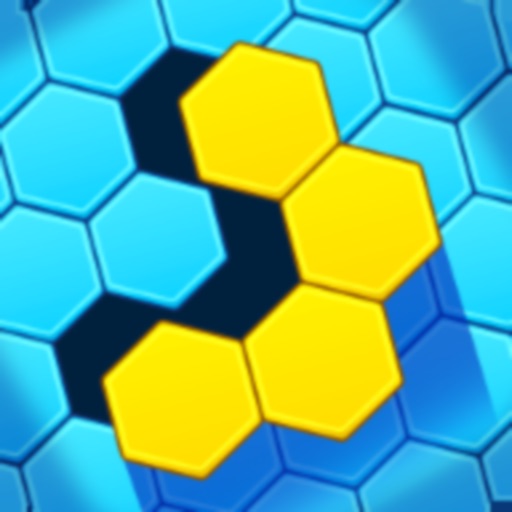 Hexa Puzzle Game - Honeycomb