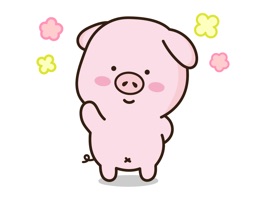 Here's newly launched Cutie Lovely PinkPig
