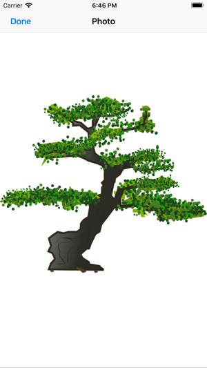 Beautiful Bonsai(圖2)-速報App