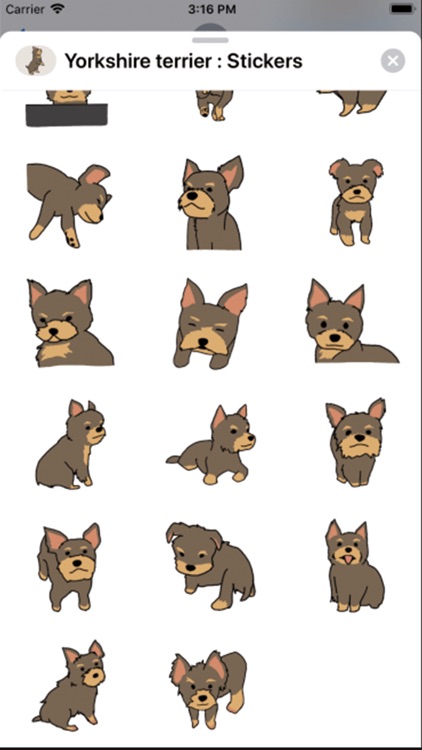 Yorkshire terrier : Stickers screenshot-3