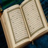 Quran - "Wadi Al Yamani"