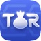 VPN + TOR Browser combines the power of both VPN and The Onion Router network