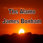 The Alamo- Coloring and Audio