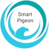 Smart Pigeon