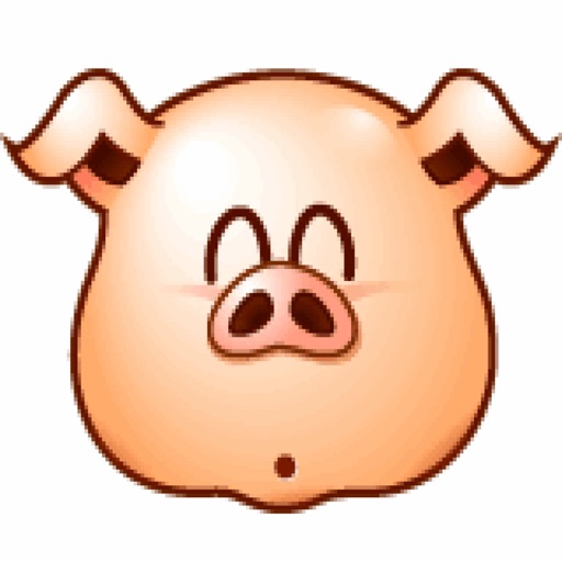 funny pig faces
