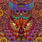 Coloring Owl:Paint Color Cases
