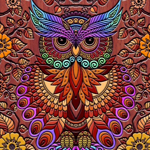 Coloring Owl:Paint Color Cases