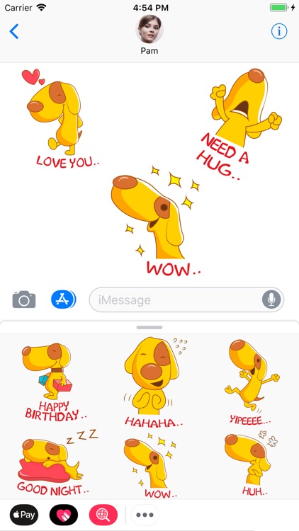 Cute funny DOGE stickers