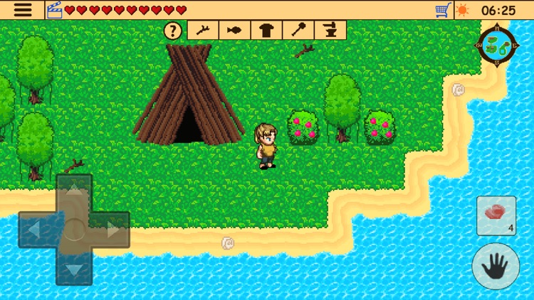Survival RPG: Lost Treasure 2d