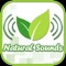 Whether you're still planning to know natural sounds or already here, the Natural Sounds App is the ultimate must-have