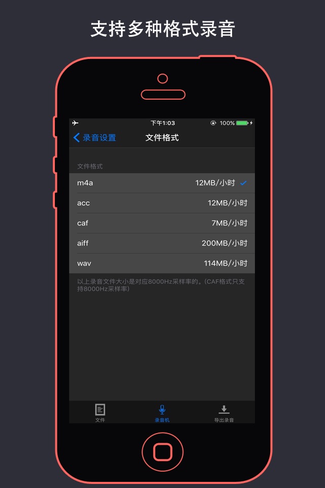 VoiceHD - voice recorder screenshot 3