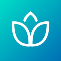Self growth guided meditation