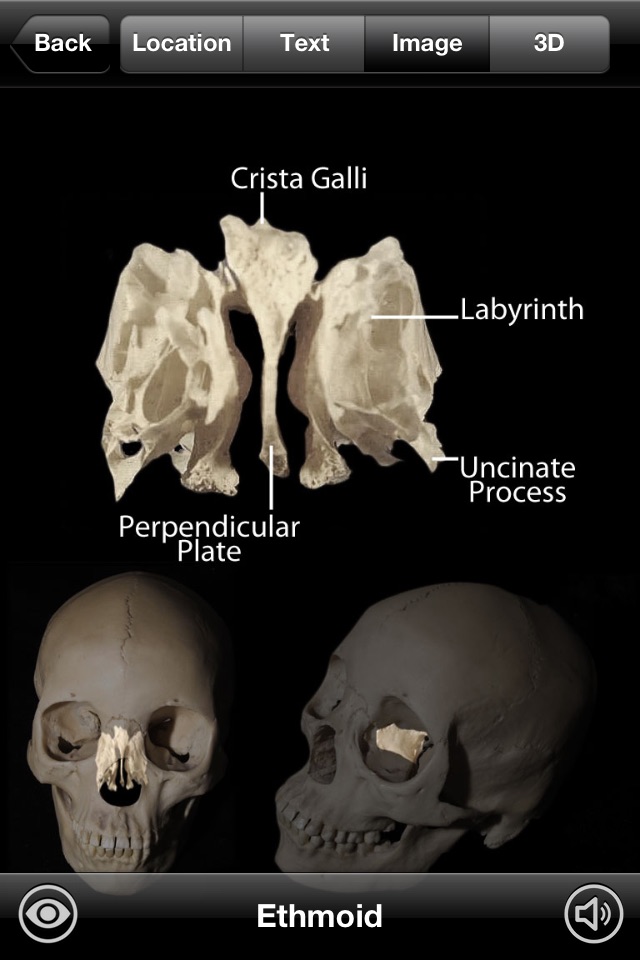 Skeletal Anatomy 3D screenshot 4