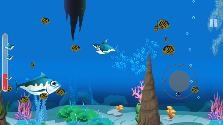 Shark Journey: Feeding Frenzy