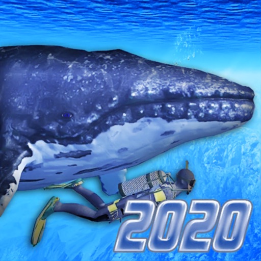 Diving Simulator 2020