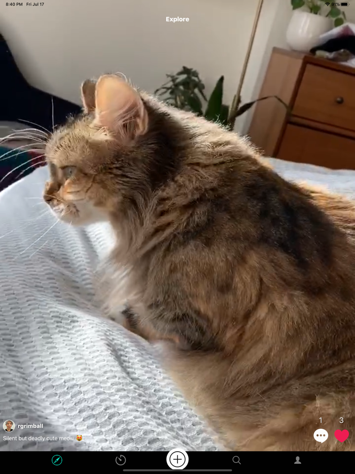 DripDrop - Waste Your Time