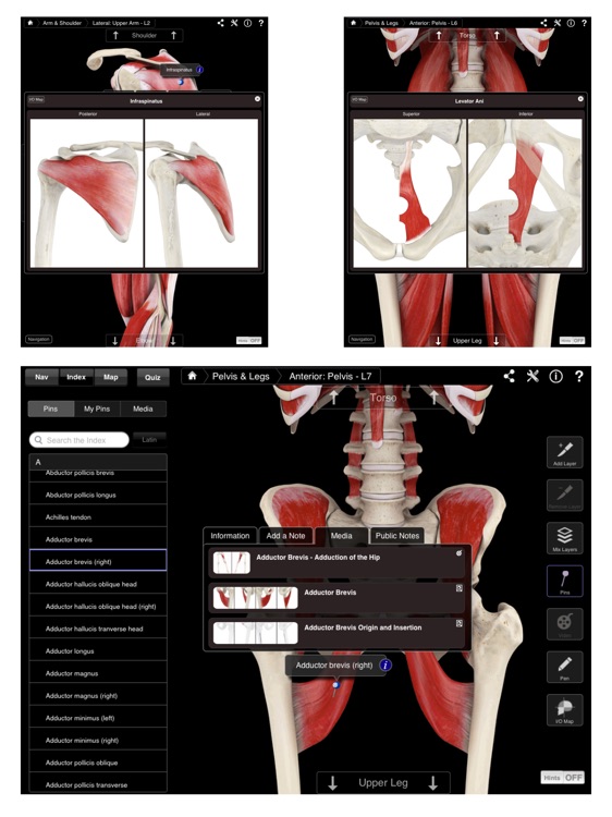 Muscle System Pro III screenshot-3